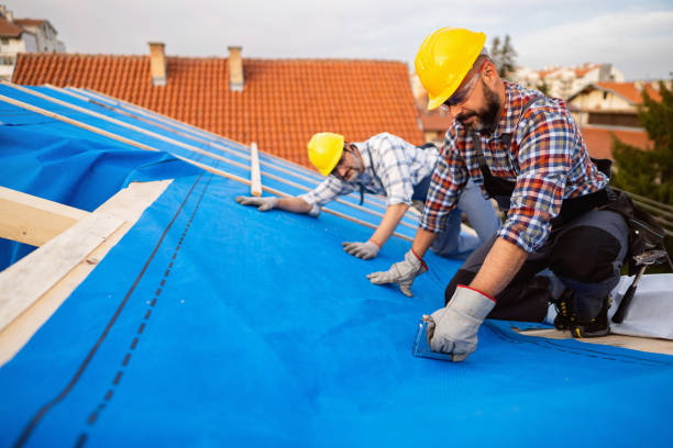 Reliable Woodridge, IL Roofing Services Solutions