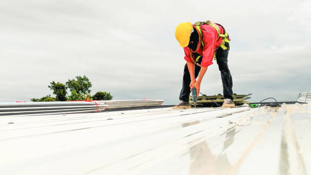 Best Gutter Installation and Repair  in Woodridge, IL