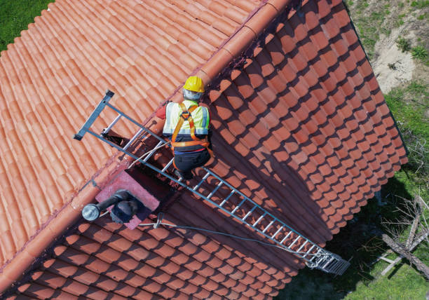 Best Asphalt Shingles Roofing  in Woodridge, IL